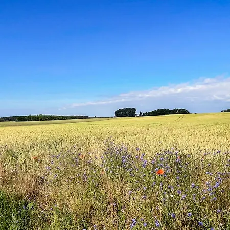 Lerchenhof Haus Kiebitz Дом отдыха Reestow