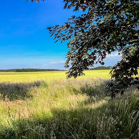 Дом отдыха Lerchenhof Haus Kiebitz