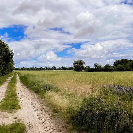 Lerchenhof Haus Kiebitz Дом отдыха Reestow